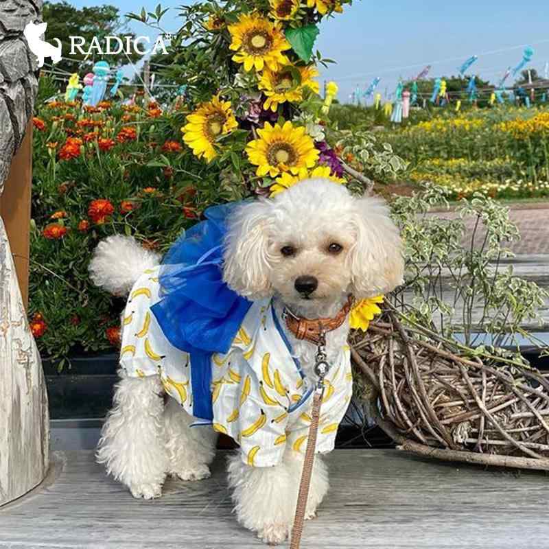 犬の服 ドック御召しもの 愛くるしい 猫 愛玩動物 和 御召しもの 袴 浴衣 活動写真 映画化 正月 七五三 節句 こどもの日 ひな祭り 生まれ落ちる日 春夏 赤 青 黄 バナナの木 花