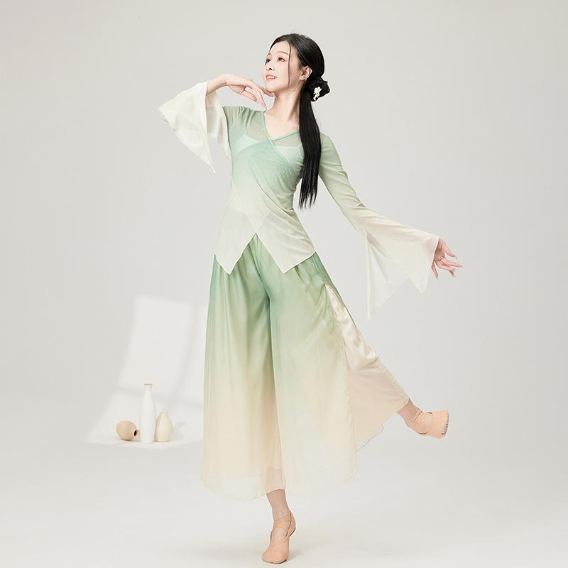舞踊服 レディース クラシックダンス 中国舞踊 レッスンウェア 練習着 発表会 舞台衣装 演出服 イベント用 チャイナドレス風 シアー 透け感 優雅 ドレープ 軽やか ポリエステル素材 セットアップ