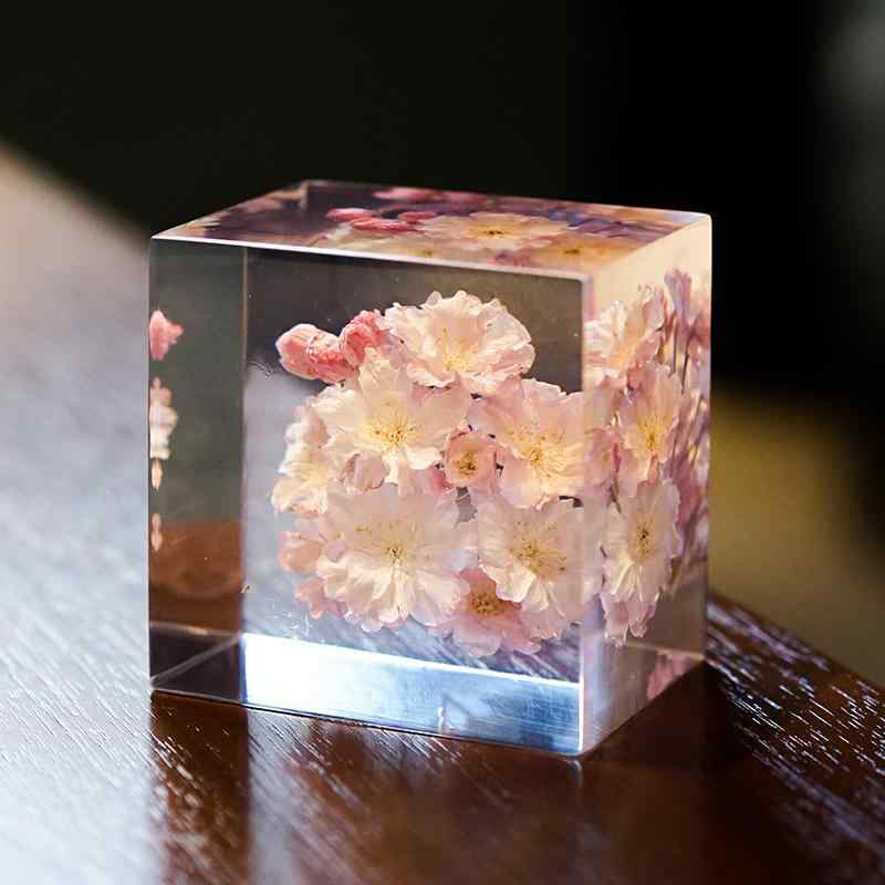 置物 メンズ レディース 樹脂 桜 標本 八重桜 山桜 河津桜 安行寒桜 手作り デスクトップ 日式 インテリア 雑貨 デスク 飾り 卓上 かわいい 高級感 おしゃれ 小物 部屋飾り|way-ugo