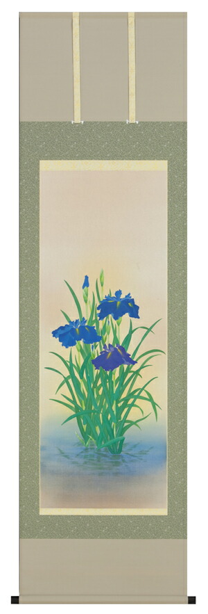 掛け軸 掛軸 かけじく 鳶尾 浅井 新明 全国送料無料無料 代り牽引故障無料 新品掛け軸 専門商店 通信販売 Newbyresnursery Com