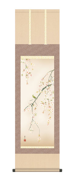 掛け軸　西尾　香悦（三美会）　桜花　尺三立幅44.5×高さ約164cm　花鳥画　春掛け　 \