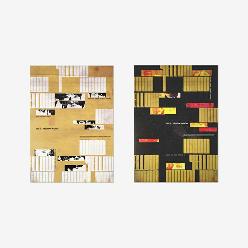 Stray kids 直筆サイン入りアルバム スキズ yellow wood STRAY KIDS Special Album - CLE 2 : YELLOW WOOD [ Yellow Wood