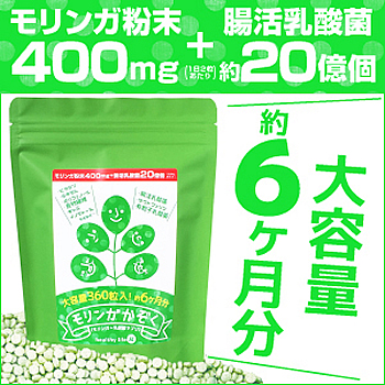 新作モデル すぐ使える500円offクーポン対象 モリンガかぞく 大容量約6か月分 360粒 3個セット 腸活 サプリ サプリ モリンガ ヘルシーライフ 美活応援店 アットシュシュ 格安 Rp221 Com