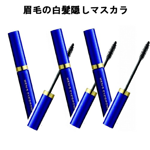 直ぐ使える300丸offバウチャー対象 ビナ メンズアイブロー墨 3個セット 黒 眉 白髪陰蔽 白髪 眉マスカラ 白髪 眉毛 Barlo Com Br