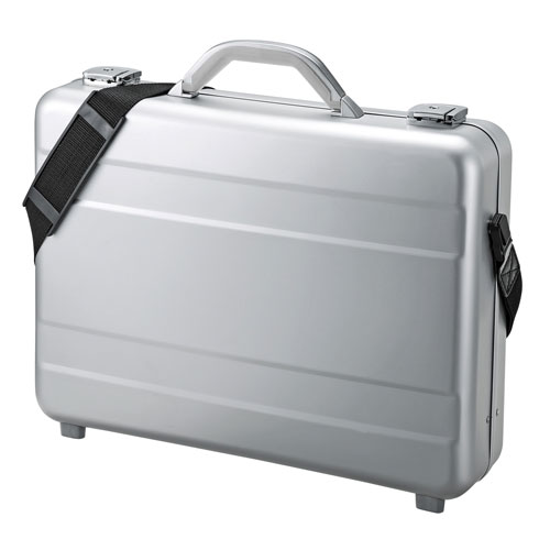 サンワサプライ PCアルミケース BAG-AL4N2