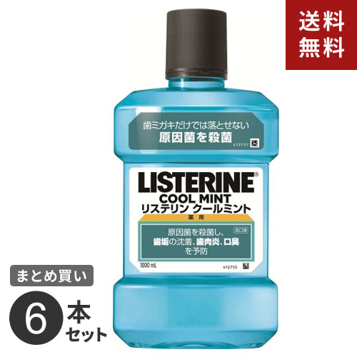 送料無料 まとめ買い ジョンソン エンド ジョンソン 薬用リステリン クールミント 1000ml 6個セット 送料無料 194 ナチュラルウェブ株式会社tel Beyondresumes Net
