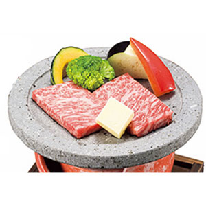 ヤマコー 遠赤・石焼きプレート 丸 21176
