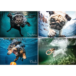 楽天市場 Cheatwell 水中犬ジグソーパズル 4犬種 Mono