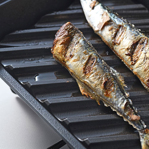 送料無料 オークス 大人の焼魚 炭グリル Ots8010 魚焼き器 魚グリル フライパン グリル 炭プレート 遠赤効果 焼魚 炭 おいしい オシャレ septicin Com