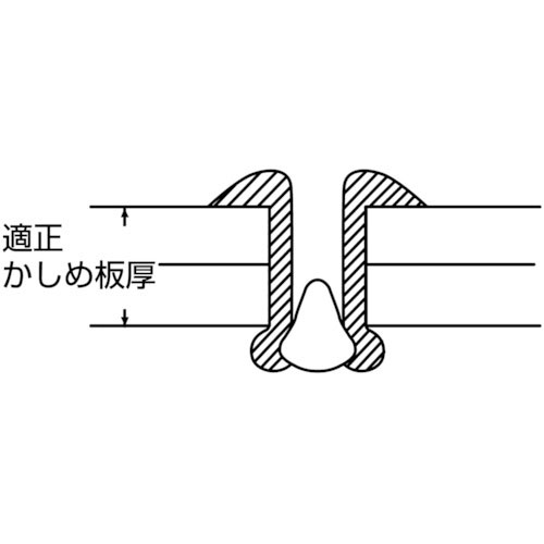 エビ ブラインドリベット ステンレス 1000本入 ステンレス製 箱入 6-10
