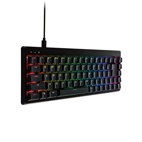 エレコム ELECOM ゲーミングキーボード V custom 有線 着脱式ケーブル RGB 銀軸/スピードリニア USB Aポート×1 ブラック TK-VK300SBK