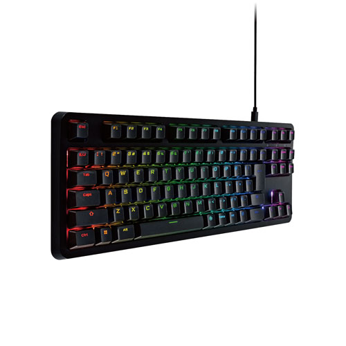 エレコム ELECOM ゲーミングキーボード V custom 有線 着脱式ケーブル RGB 銀軸/スピードリニア 日本語配列 テンキーレス ブラック TK-VK310SBK