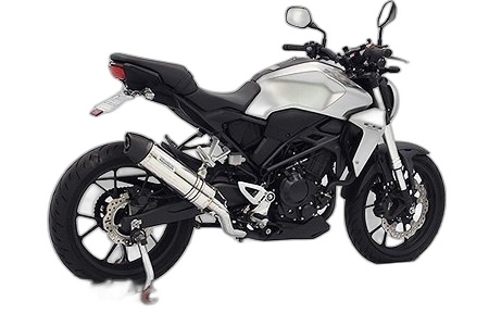 WirusWin ウイルズウィン スリップオンマフラー CB250R CB300R HONDA ホンダ マフラー サイレンサー出口タイプ：ユーロタイプ / サイレンサーメインパイプ素材：ステンレス