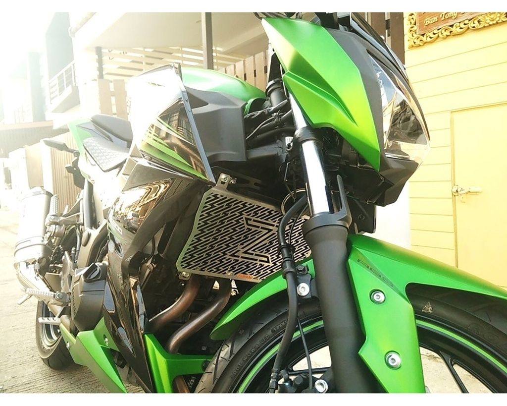 Guardo ガルドー Stainless Steel Radiator Guard Z300 Z300 Guardoガルドー ラジエーターコアガードオイルクーラーコアガード Stainless Steel Radiator Guard Z300 Intervene Mud Beyondresumes Net