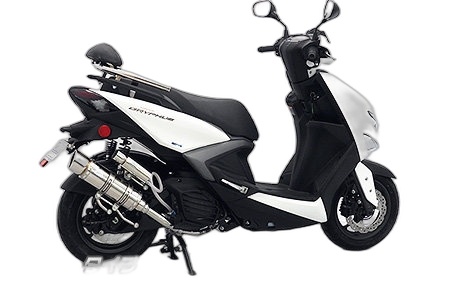 WirusWin ウイルズウィン ロイヤルマフラー シグナス グリフィスCYGNUS GRYPHUS YAMAHA ヤマハ フルエキゾーストマフラー マフラー サイレンサー出口:ポッパータイプ / キャタライザー(排ガス浄化触媒):無し / サイレンサー仕様:バージョンアップ無し