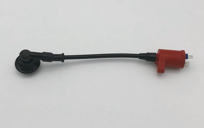 Cf Posh シーエフポッシュ レーシングigコイル Dio Dio Sr Dio Zx スーパーdio スーパーdio Sr スーパーdio Zx ライブdio ライブdio Sr ライブdio Zx Psicologosancora Es