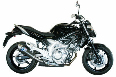 TERMIGNONI テルミニョーニ スリップオンマフラー 1サイレンサー SV650 グラディウス650