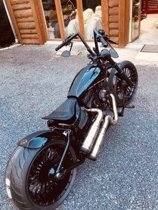Amazon | (タラゾン) TARAZON Cush Drive 530 チェーン変換