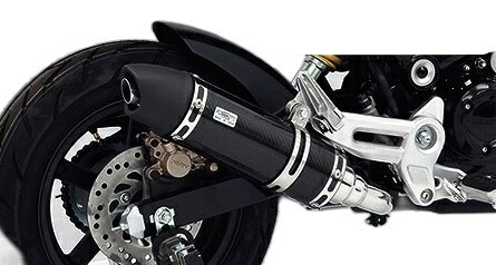WirusWin ウイルズウィン スリップオンマフラー グロム MSX125 HONDA ホンダ マフラー タイプ：ユーロタイプ / サイレンサーオプション：ブラックカーボン仕様