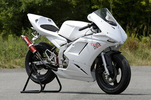 EIGHT(才谷屋) エイト(サイタニヤ) 1098タイプ3点キット NSR50 NSR80 HONDA ホンダ フルカウル・外装セット カウル関連 外装｜ウェビック　店