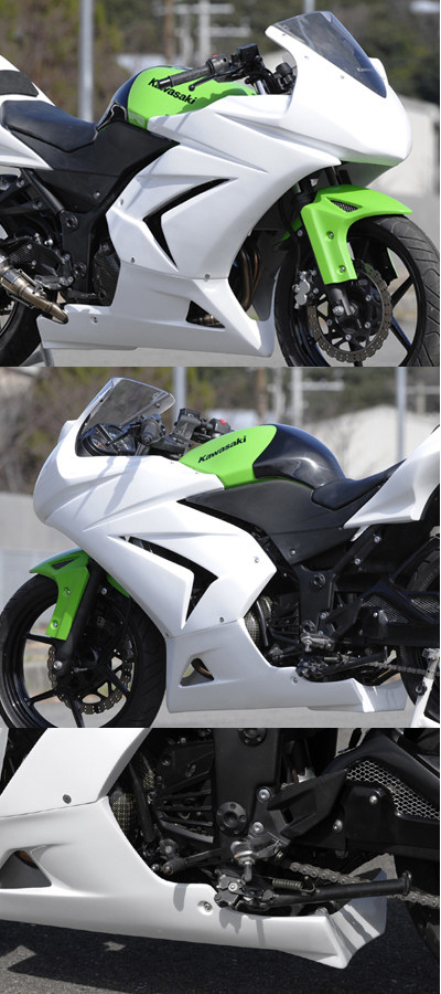 NINJA250R 才谷屋 ZX-6R風 アッパーカウル 楽天市場】EIGHT(才谷屋) エイト(サイタニヤ) ZX-6Rレプリカ