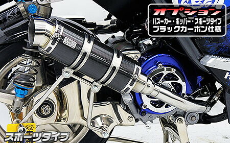 WirusWin ウイルズウィン ロイヤルマフラー ポッパータイプ ブラックカーボン仕様 ミオ125 YAMAHA ヤマハ フルエキゾーストマフラー マフラー