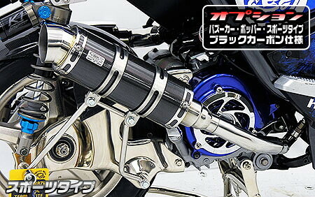 WirusWin ウイルズウィン ロイヤルマフラー スポーツタイプ ディオ110 HONDA ホンダ フルエキゾーストマフラー マフラー