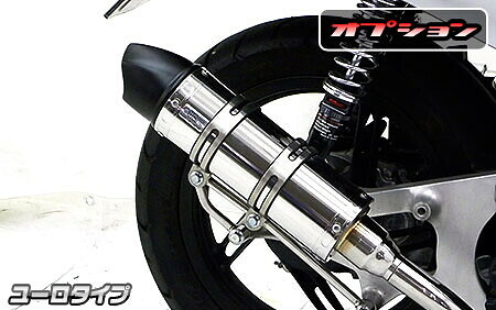 WirusWin ウイルズウィン ロイヤルマフラー ユーロタイプ ディオ110 HONDA ホンダ フルエキゾーストマフラー マフラー