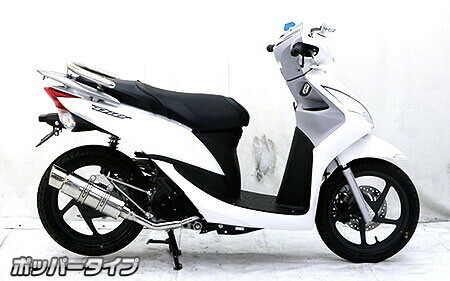 WirusWin ウイルズウィン ロイヤルマフラー ポッパータイプ ディオ110 HONDA ホンダ フルエキゾーストマフラー マフラー