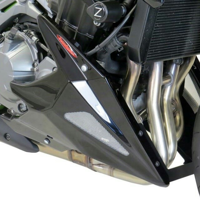 POWERBRONZE アンダーカウル Z900 2017- KAWASAKI カワサキ カウル関連 外装 カラー：ブラック／ゴールドメッシュ｜ウェビック　店