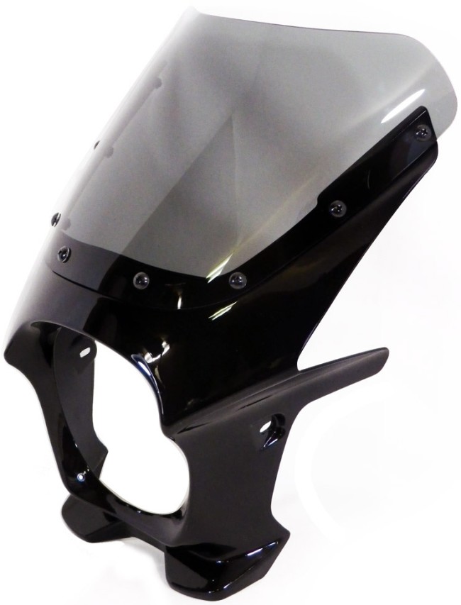 World Walk ワールドウォーク 汎用ビキニカウル DS-01 【Rタイプ】 HONDA ホンダ YAMAHA ヤマハ SUZUKI スズキ KAWASAKI カワサキ ビキニカウル カウル関連 外装 カラー:パールメテオグレー / スクリーンカラー:スモーク|ウェビック 店