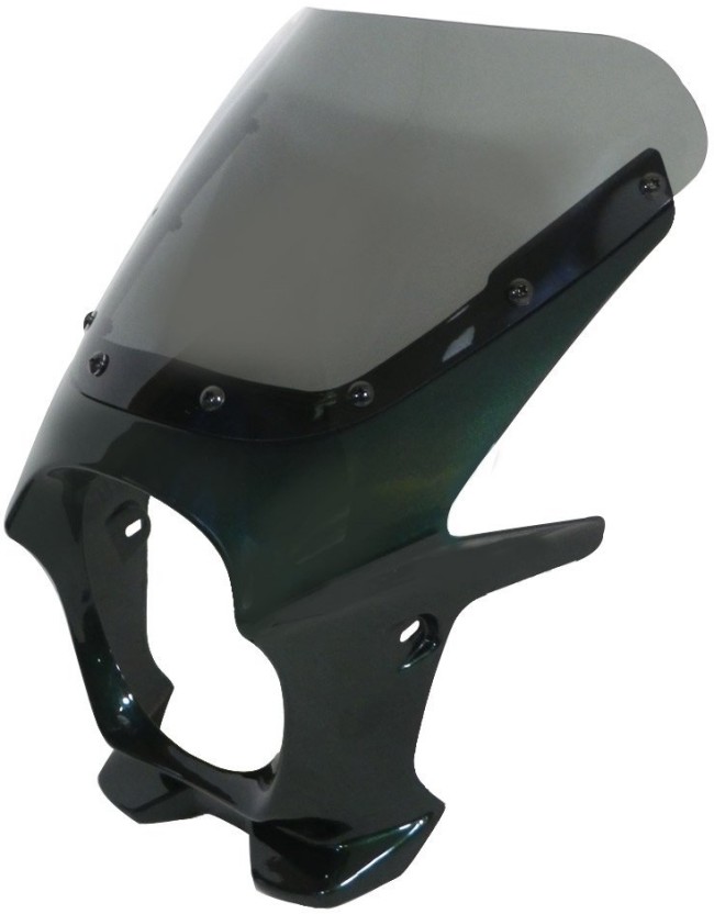 World Walk ワールドウォーク 汎用ビキニカウル DS-01 【Rタイプ】 HONDA ホンダ YAMAHA ヤマハ SUZUKI スズキ KAWASAKI カワサキ ビキニカウル カウル関連 外装 スクリーンカラー：スモーク / カラー：ルミナスウィンザーグリーン