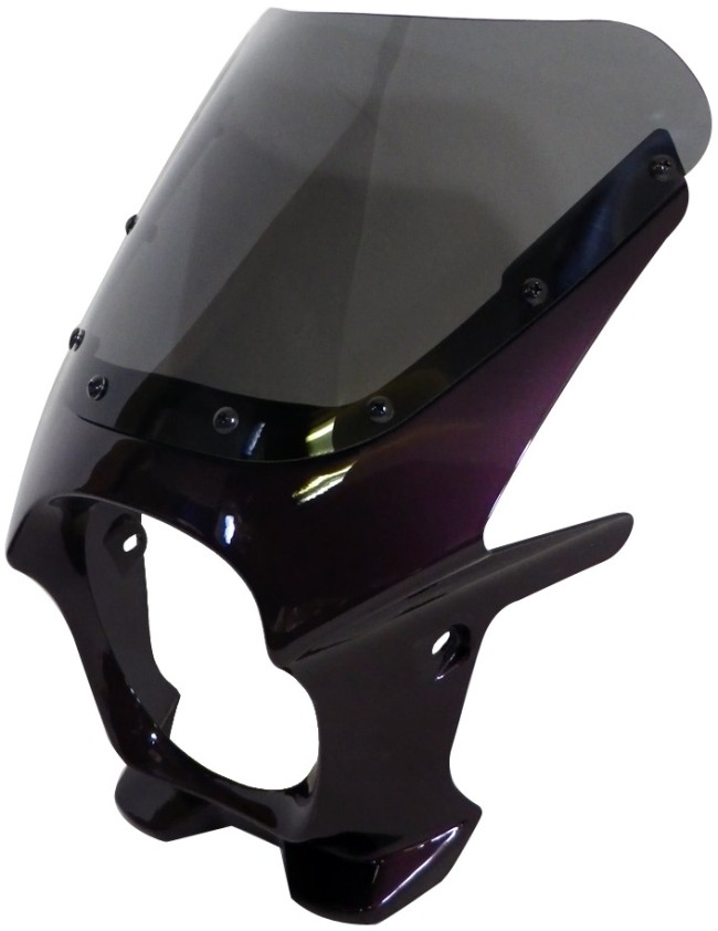 World Walk ワールドウォーク 汎用ビキニカウル DS-01 【Rタイプ】 HONDA ホンダ YAMAHA ヤマハ SUZUKI スズキ KAWASAKI カワサキ ビキニカウル カウル関連 外装 カラー：ミヤビマルーン / スクリーンカラー：クリア｜ウェビック　店