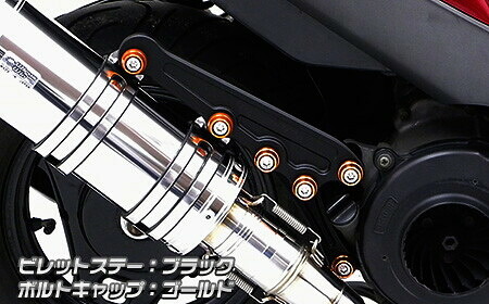WirusWin ウイルズウィン アニバーサリーマフラー専用ビレットステー ブラックバージョン アドレスV125 SUZUKI スズキ マフラーステー マフラー