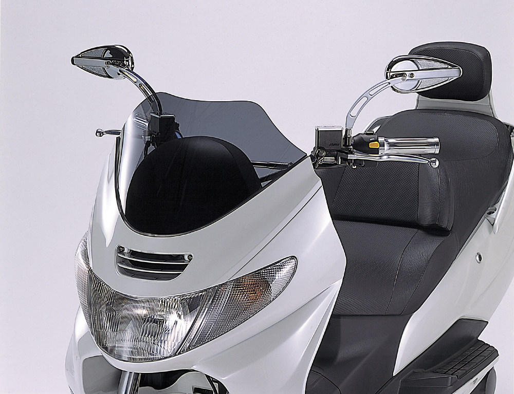 楽天市場】WirusWin ウイルズウィン フロントマスク スカイウェイブ250