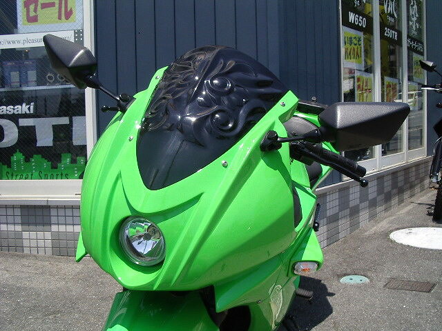 PLEASURE プレジャー Ninja250R アーマードレリーフ Type 1 NINJA250R ［ニンジャ］ KAWASAKI カワサキ スクリーン 外装