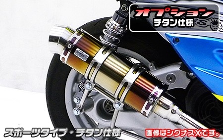 WirusWin ウイルズウィン スリップオンマフラー スポーツタイプ Dトラッカー KLX250 KAWASAKI カワサキ マフラー