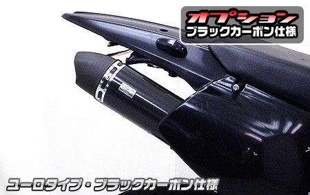 WirusWin ウイルズウィン スリップオンマフラー ユーロタイプ 250SB SUZUKI スズキ マフラー｜ウェビック　店