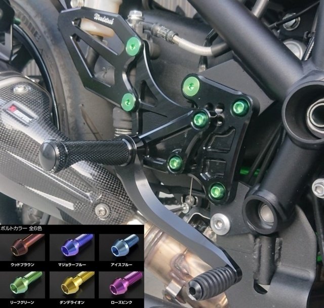WOODSTOCK ウッドストック バックステップキット Ninja H2 SX SE SE+ KAWASAKI カワサキ バックステップ ステップ 足回り バックステップカラー:オールシルバー / βチタニウムボルトバージョン:アイスブルー|ウェビック 店