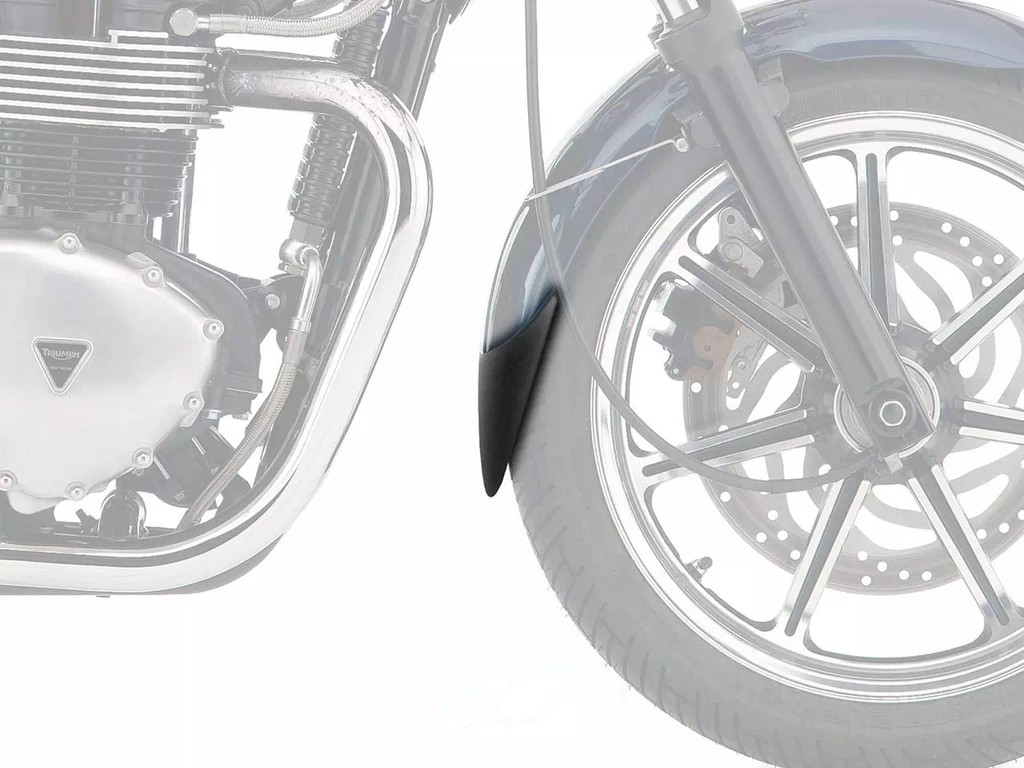 P&A International P&Aインターナショナル エクステンダーフェンダー Bonneville SE TRIUMPH トライアンフ フロントフェンダー フェンダー関連 外装