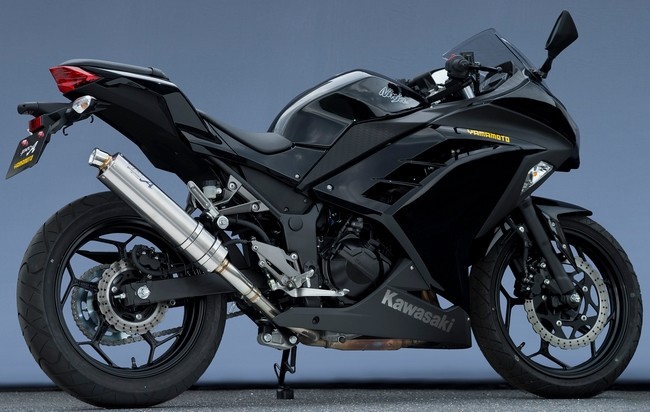 YAMAMOTO RACING ヤマモトレーシング SPEC-A チタン スリップオンマフラー Ninja250 KAWASAKI カワサキ マフラー｜ウェビック　店 45,031円