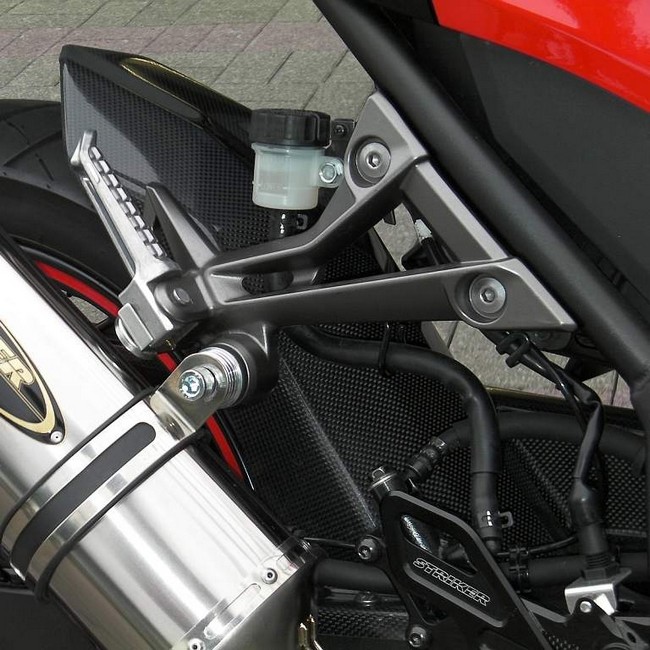 STRIKER ストライカー カーボンリヤフェンダー Ninja250 Z250 KAWASAKI カワサキ リアフェンダー フェンダー関連 外装