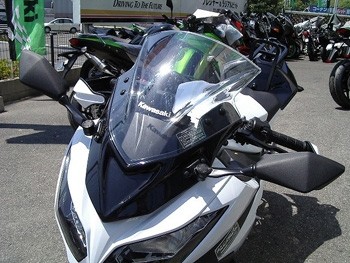 PLEASURE プレジャー バイザーリフトプレート Ninja250 KAWASAKI カワサキ スクリーン 外装