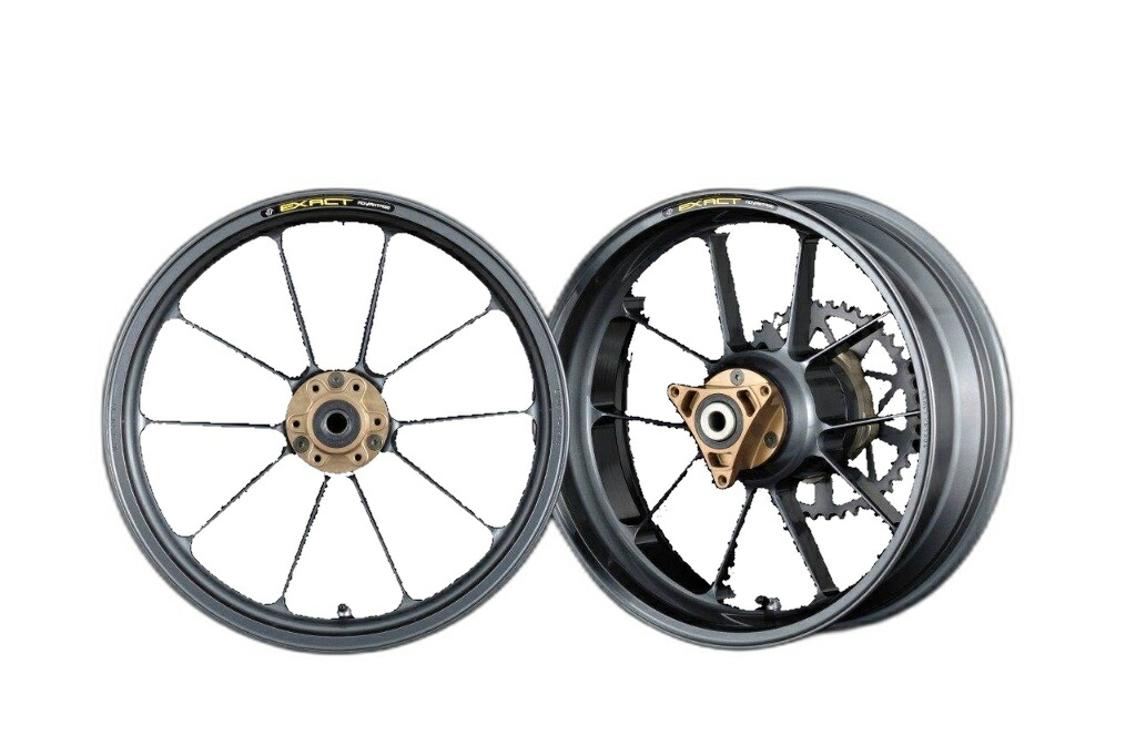 ADVANTAGE アドバンテージ EXACT [イグザクト] RACING 10 フル鍛造マグネシウムホイール ニンジャ1000 Z1000SX KAWASAKI カワサキ ホイール ホイール関連 足回り