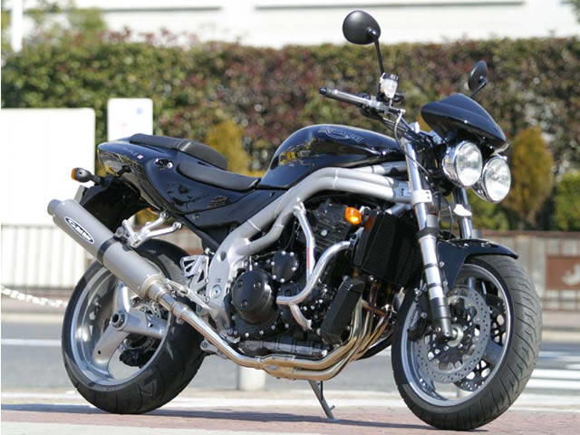 GOLDMEDAL ゴールドメダル スラッシュガード SPEED TRIPLE TRIUMPH トライアンフ エンジンガード フレーム