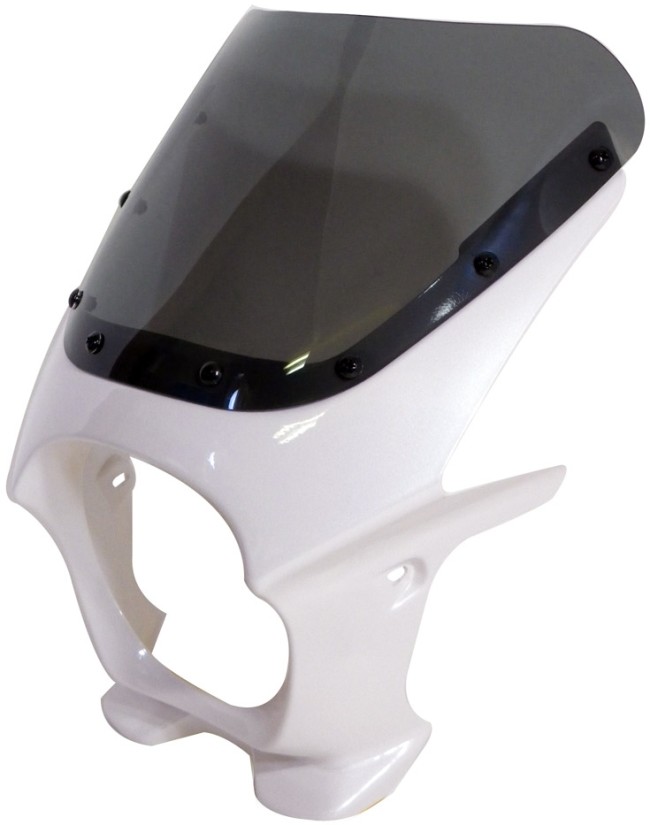 World Walk ワールドウォーク 汎用ビキニカウル DS-01 【AEROタイプ】 HONDA ホンダ YAMAHA ヤマハ SUZUKI スズキ KAWASAKI カワサキ ビキニカウル カウル関連 外装 スクリーンカラー:スモーク / カラー:パールクリスタルホワイト|ウェビック 店