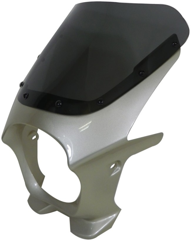 World Walk ワールドウォーク 汎用ビキニカウル DS-01 【Rタイプ】 HONDA ホンダ YAMAHA ヤマハ SUZUKI スズキ KAWASAKI カワサキ ビキニカウル カウル関連 外装 スクリーンカラー：クリア / カラー：メタリックシャンパンゴールド