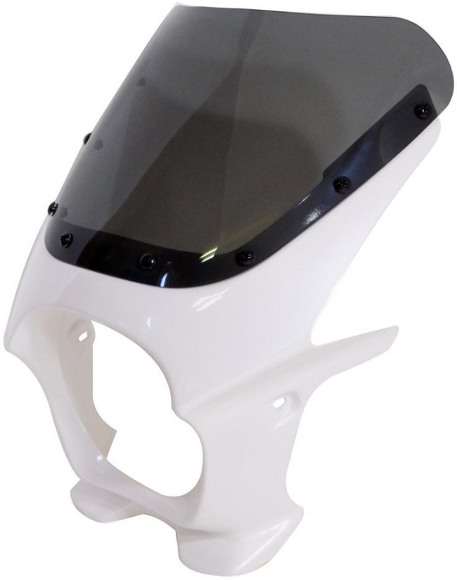 World Walk ワールドウォーク 汎用ビキニカウル DS-01 【Rタイプ】 HONDA ホンダ YAMAHA ヤマハ SUZUKI スズキ KAWASAKI カワサキ ビキニカウル カウル関連 外装 スクリーンカラー：スモーク / カラー：パールスティルホワイト 18,016円