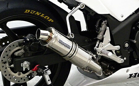WirusWin ウイルズウィン レーシングマフラー CBR250R HONDA ホンダ スリップオンマフラー マフラー