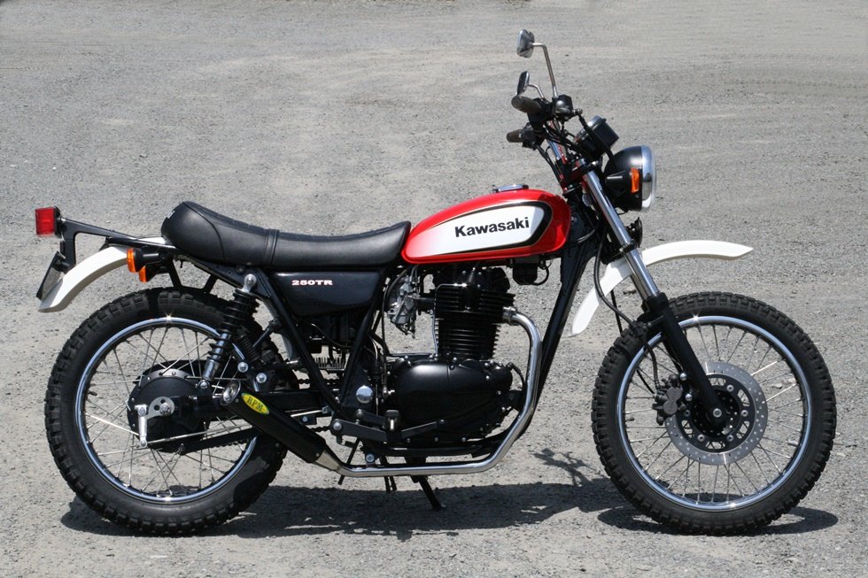250TR　テールカウル ギャングパーツ 250TR(BJ250F)用 F11バイソンタイプ テール